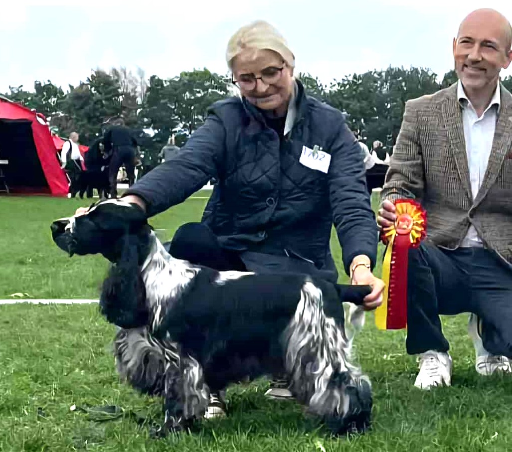 Parker Best of Breed IDS DKK Roskilde