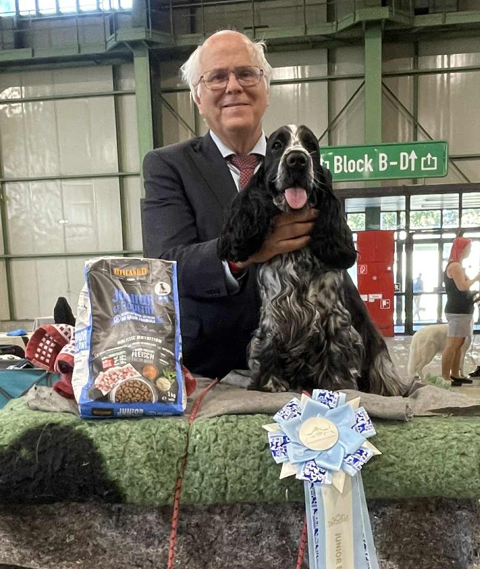 Parker Best of Breed&BIS 2 Junior Leipzig