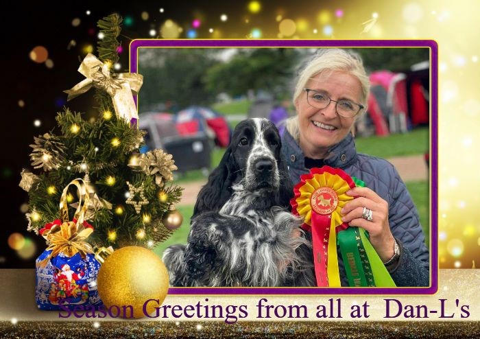 Merry Christmas & Happy New Year