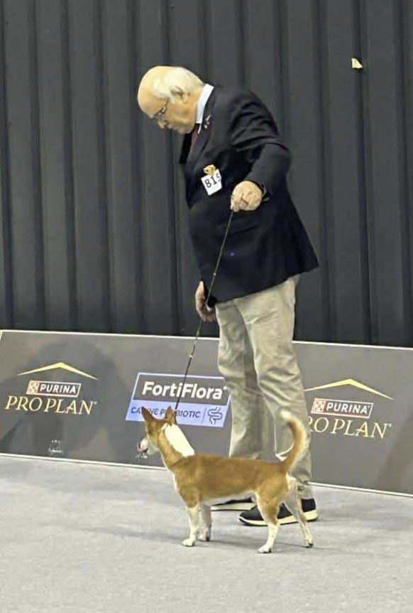 Pepe og Henrik BIR i Gdynia , Polen